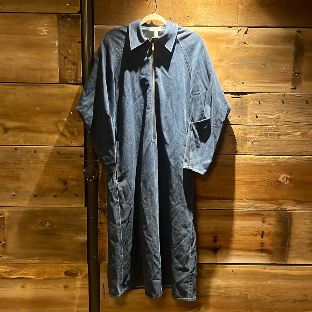 COS Denim Dress.